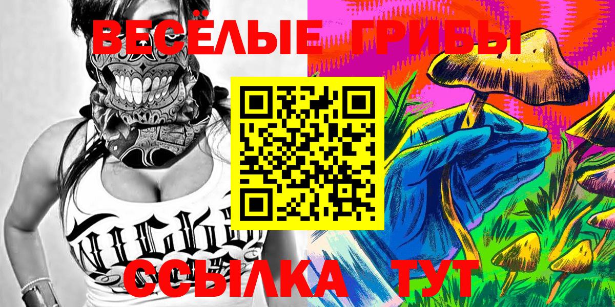 Галлюциногенные грибы Psilocybine cubensis  Вход с VPN  Галлюциногенные грибы Psilocybe  Мурино 