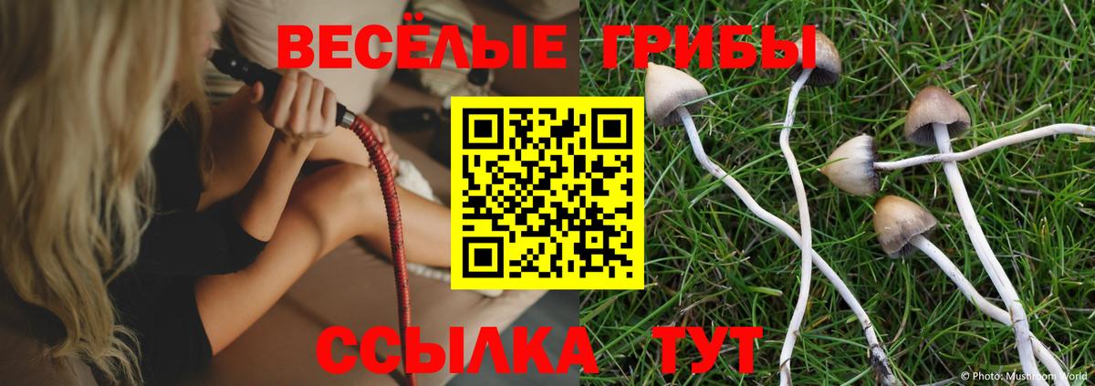 Галлюциногенные грибы ЛСД Мурино
